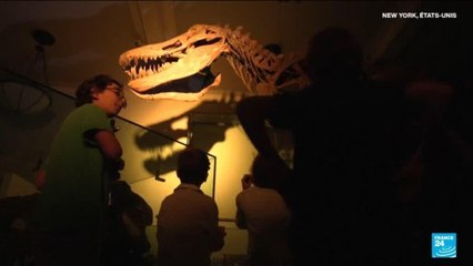 Etats-Unis : une véritable "nuit au musée" inoubliable à New York