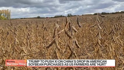 Trump Set to Discuss Soybean Purchases With China's Xi