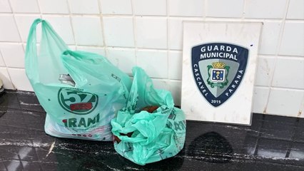 Mulher trans é detida por furto de salgadinhos, doces e lubrificante em supermercado