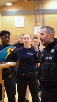 The Whistle Drill #funny #youtubeshorts #viral #facts #aiemotionalstory 🏷️ #PoliceParrot #ParrotComedy #BritishComedy #UKHumor #FunnyShorts #ViralReels #OfficerLaughs #BirdTok #AIShorts #PoliceTraining #CinematicShort #TalkingParrot #CopHumor