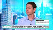 Investing as Companies Stay Private Longer