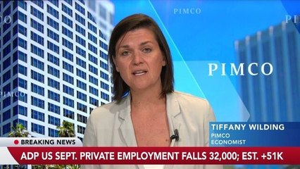 Jobs Surveys Show 'Concerning Weakness' in Labor, Says Pimco Economist Wilding