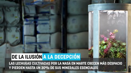 Decepción entre los astrónomos: la NASA cultiva lechugas en Marte y los resultados son un jarro de agua fría
