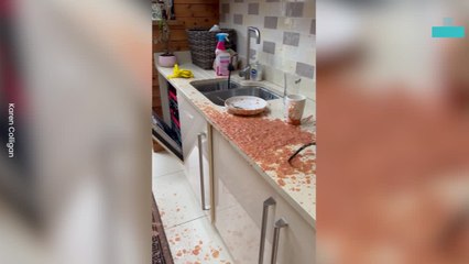 Hilarious Blender Explosion Sends Dinner Everywhere