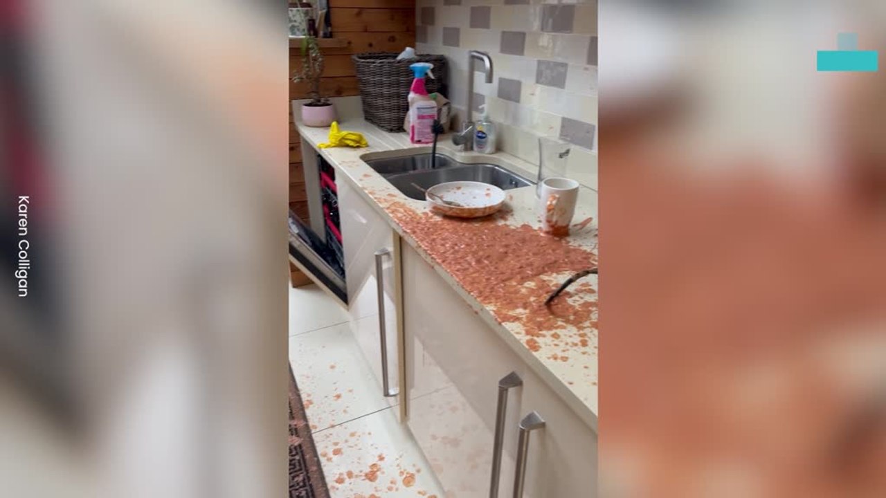 Hilarious Blender Explosion Sends Dinner Everywhere