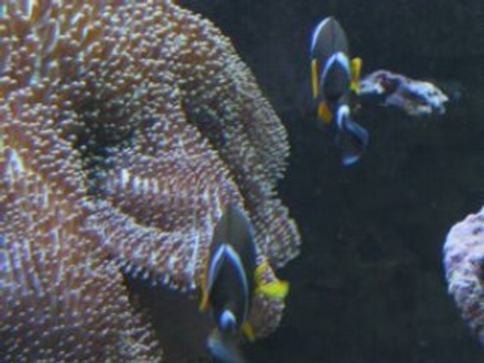 SansTitre_0002