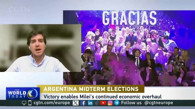 Argentina midterm election: a closer look at Javier Milei's policies
