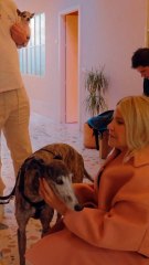 El encuentro de Eugenia Martínez de Irujo con la perrita que ha adoptado