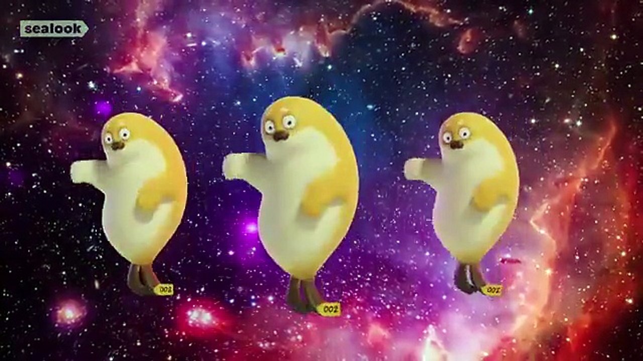 EP.1- EP.20 SEALOOK FULL EPISODES : 30 MinutesㅣBinge WatchingㅣSEALOOK