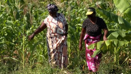 Kenya : "Pourquoi devrions-nous mourir pauvres alors que nous avons des minéraux ?"