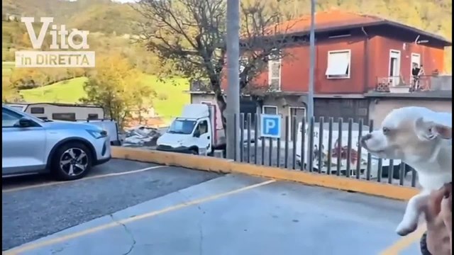 Il video del cane di Pamela Genini consegnato alla madre
