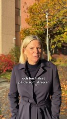 Magdalena Andersson - På svensk arbetsmarknad ska svenska löner och villkor gälla, det får Tesla acceptera. (27.10.25)