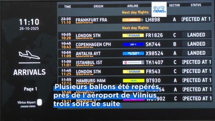 La Lituanie menace de fermer sa frontière avec le Bélarus après l'intrusion de ballons dans son espace aérien