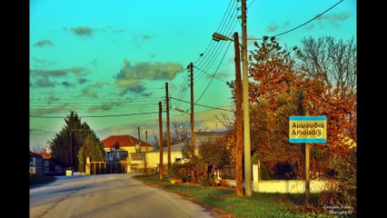 Εξαγωγή & Αλώνισμα αράπικου φυστικού στην Αμμουδιά Σερρών