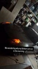 Man Finds His Cat Inside Car with Hazard Lights Flashing