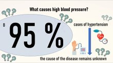 What causes high blood pressure?