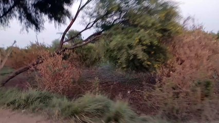 Visiting flooded areas