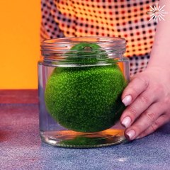 Hacks to keep your food fresh longer!