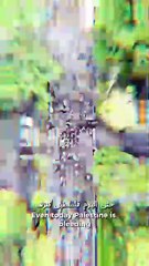 Indonesian Muslims Remind the World: Palestine Is Still Under Occupation