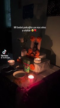 27 de octubre: el día en que regresan las almas de los animales