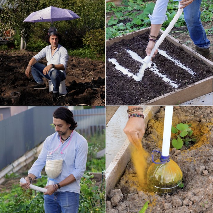 3 Amazing Garden Ideas! 🤩🌿