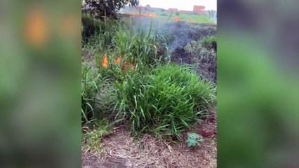 Incêndio atinge área de vegetação no bairro Cascavel Velho