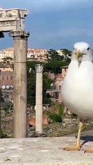 ¿Trabajo o tortura El oscuro origen del “trabajo” - Cronoscopio (360p, h264)