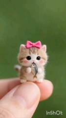 “Tiny Cute Cat Enjoying Cheese on Finger 😻 | Adorable Kitty Moment”