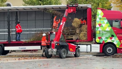 LE CREUSOT : Arrivée de 70 arbres place Schneider