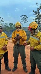 ¡Rescate del Zorrito en San Ignacio! 🦊