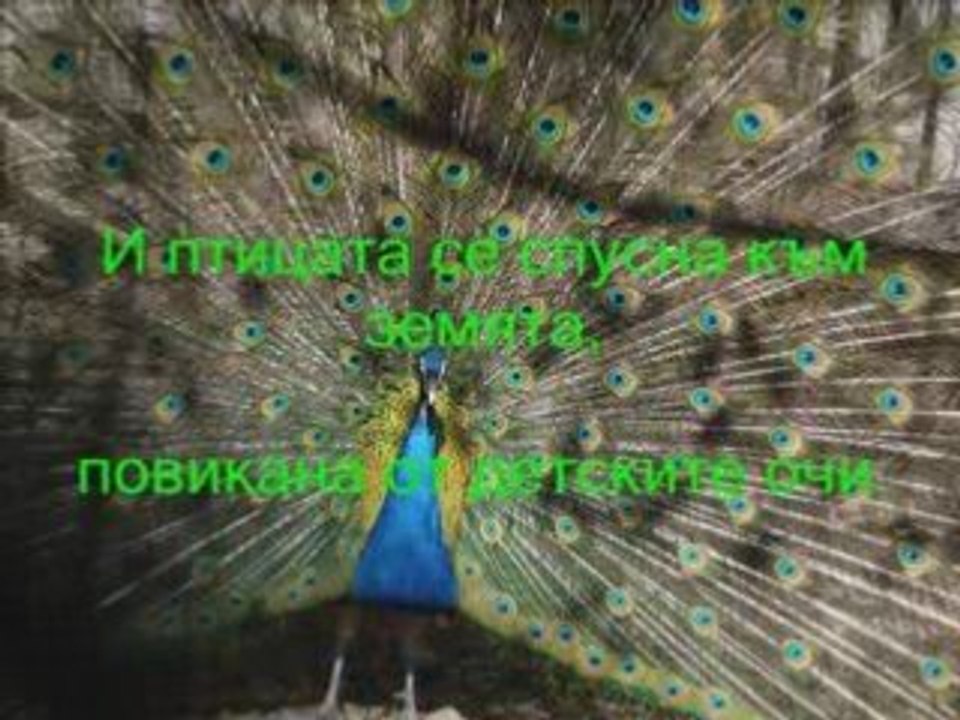полет