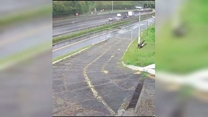 Volcó un micro con hinchas de Flamengo que viajaban a Buenos Aires para ver el partido contra Racing: 16 heridos