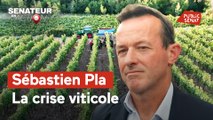 Sénateur en action - Sébastien Pla, la crise viticole