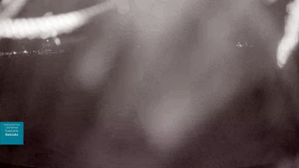 Blue Louisville - Ghouls Just Want to Have Fun (2025) Sun, Oct 26, 2025 10:41 PM to 11:50 PM