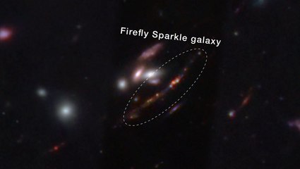 James Webb Space Telescope Captures The Ancient 'Firefly Sparkle' Galaxy