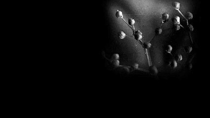 On Hannah Fields | movie | 2024 | Official Trailer