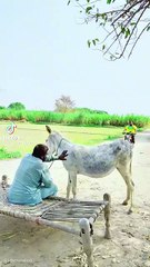 Top All-Inclusive Videos You Can't Miss 🎥