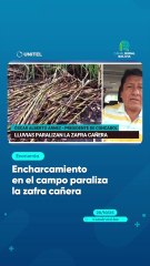 Encharcamiento en el campo paraliza la zafra cañera