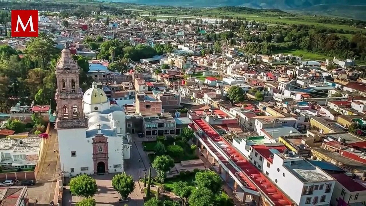 Denuncian casos de tortura y abuso contra animales; activistas exigen justicia