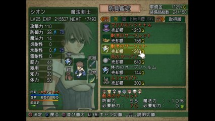 シャイニングティアーズ　プレイステーション２（Shining Tears playstation2）pert47