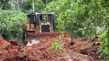 Improving Plantation Road Stability with the D6R XL Bulldozer