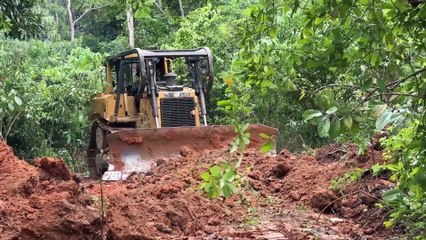 Improving Plantation Road Stability with the D6R XL Bulldozer