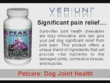 Dog Joint Health | Canine Synoviflex | Treat Dog Joint Pain