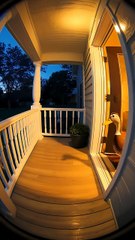 Best Funny Video - Funny Cat video #cat #trending #cat #kitten #trending (1)