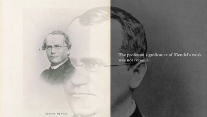 60 Gregor Mendel
