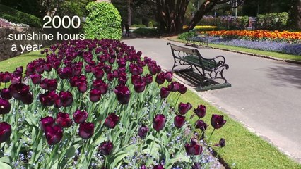 66 New Zealand: Wellington