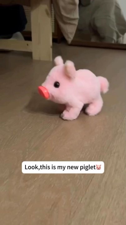 Liberty Imports My Pet Pig, Electronic Plush Piggy Toy Piglet That Walks, Wags Tail, Wiggles Nose, and Makes Oink Sounds for Kids, Boys, Girlsorder now : https://store.bigbang.social/p/e72abca