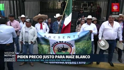 Agricultores piden precio justo por tonelada de maíz blanco y rechazan condiciones oficiales