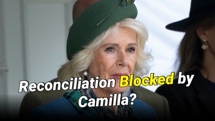 Queen Camilla Still ‘Livid’ Over Prince Harry’s 'Spare' Claims Amid Reconciliation Attempts