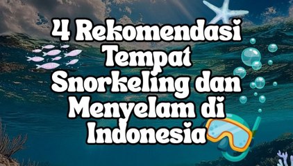 Ini 4 Rekomendasi Spot Snorkeling Terbaik di Indonesia